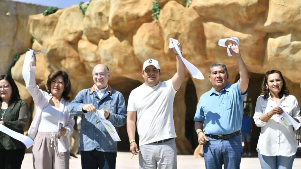 69d279a717833.r_d.494-243-0