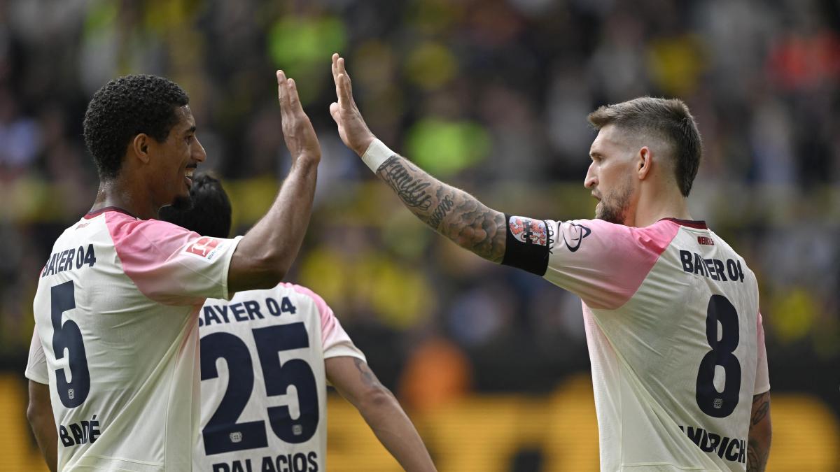 69da97ee140d8.r_d.2695-1172-0